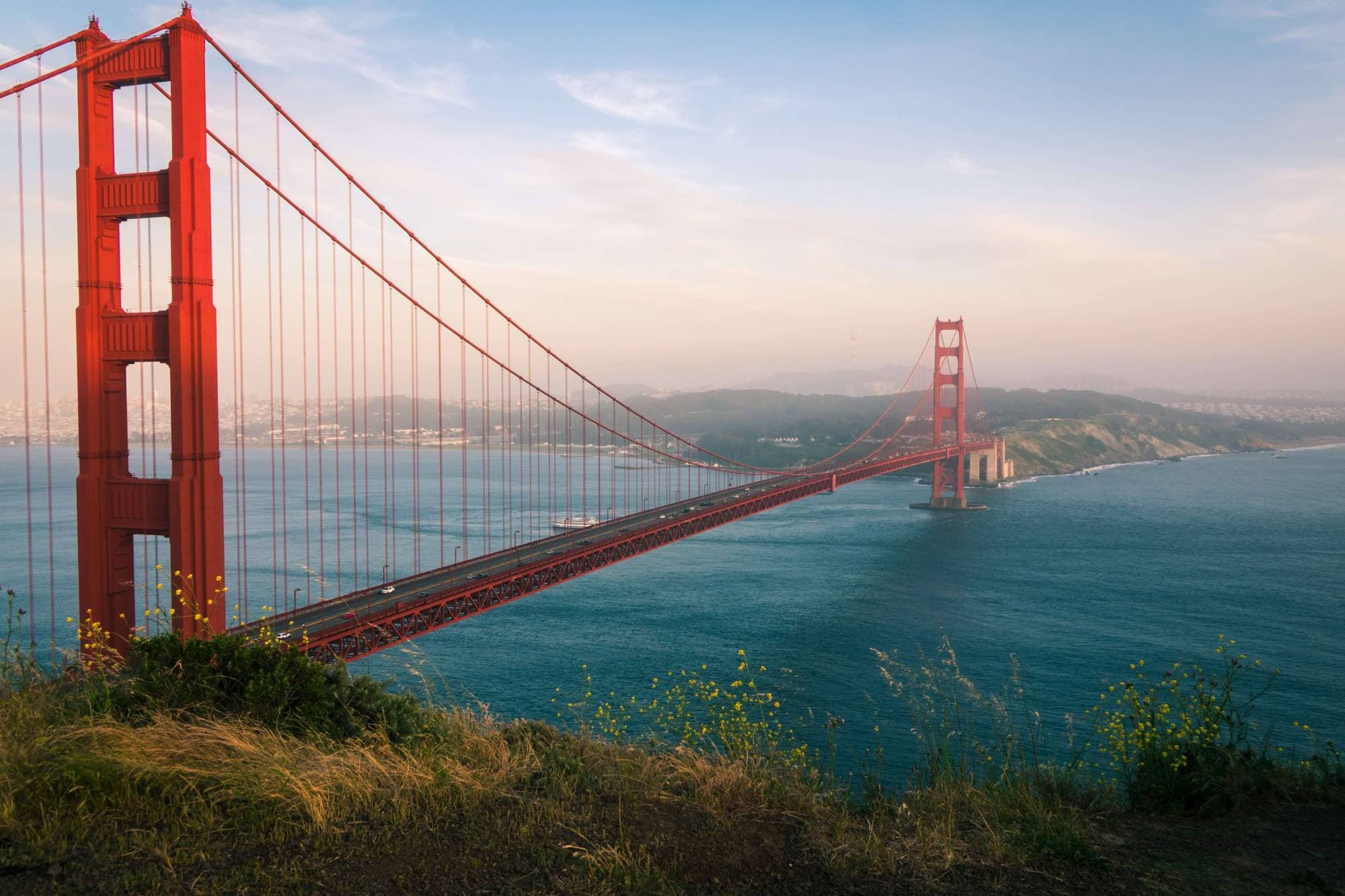 Bay Area Movers & Packers